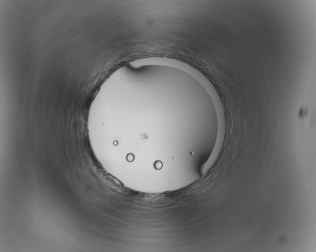 X0000111030720200907231620