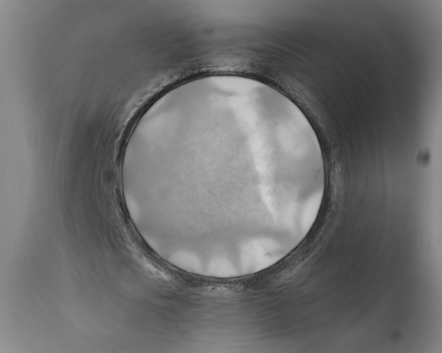 X0000111030721200907231620