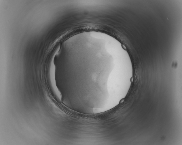 X0000111030722200907231620