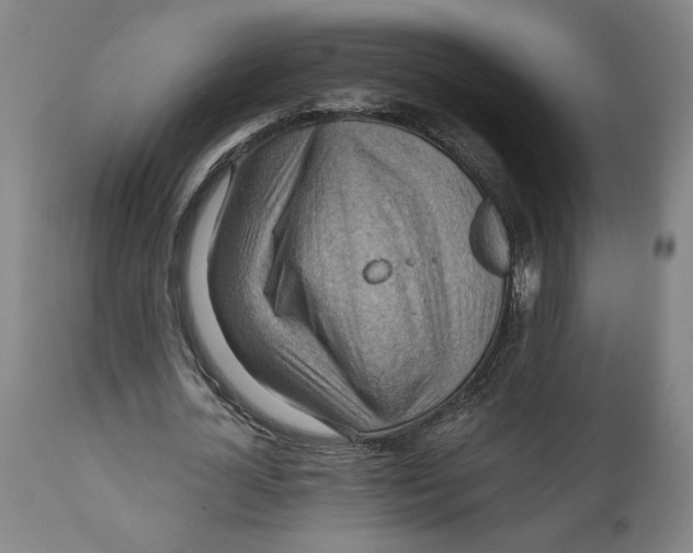 X0000111030724200907231620