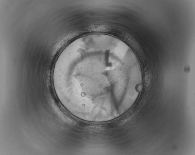 X0000111030725200907231620