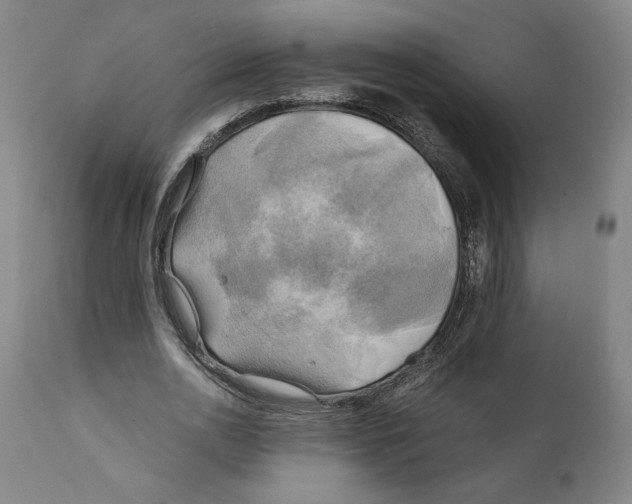 X0000111030726200907231620