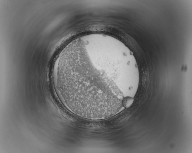 X0000111030727200907231620