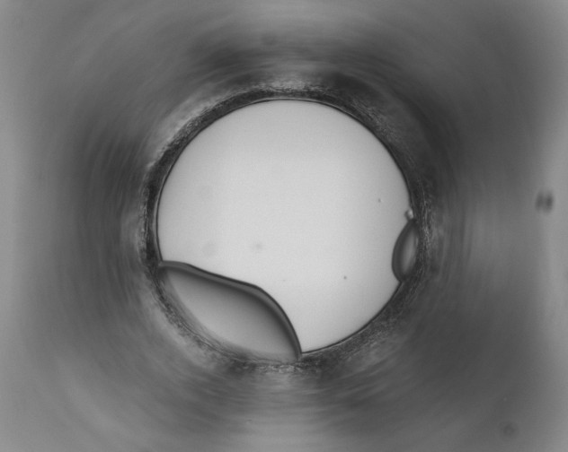 X0000111030728200907231620