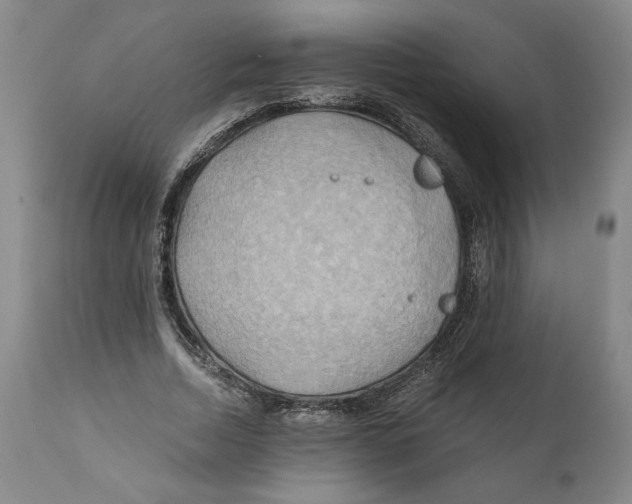 X0000111030730200907231620