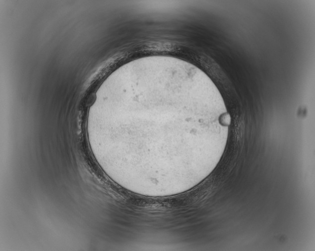 X0000111030731200907231620