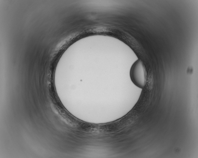 X0000111030732200907231620