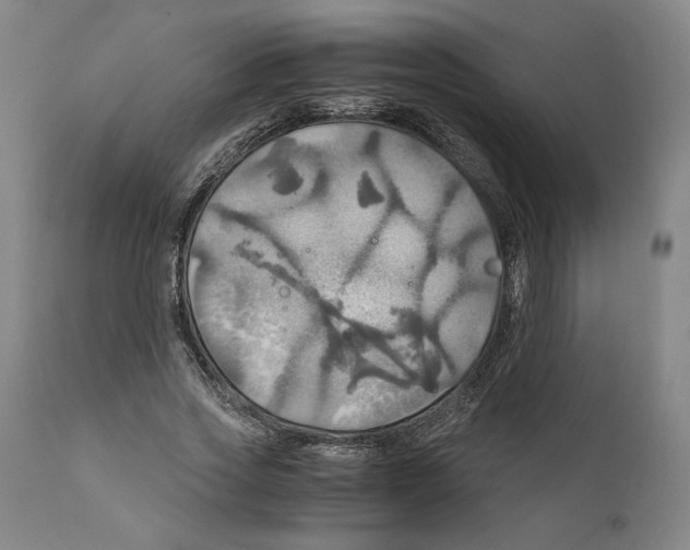 X0000111030733200907231620