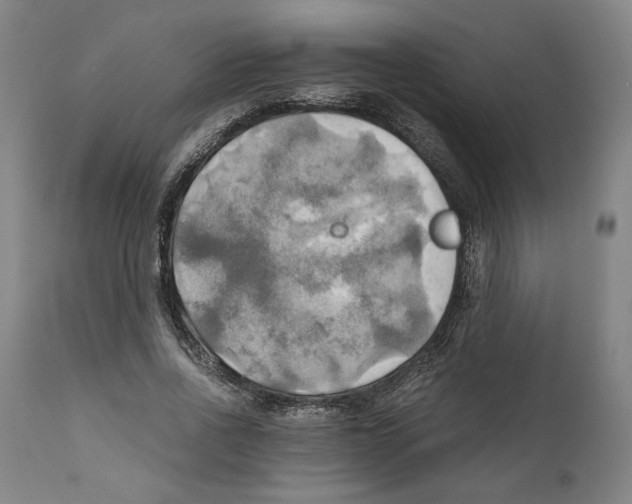 X0000111030734200907231620