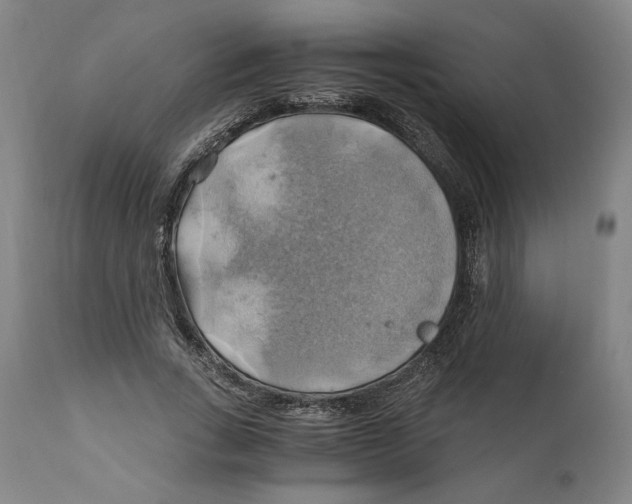 X0000111030735200907231620