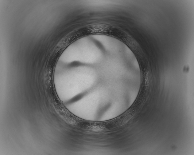 X0000111030737200907231620