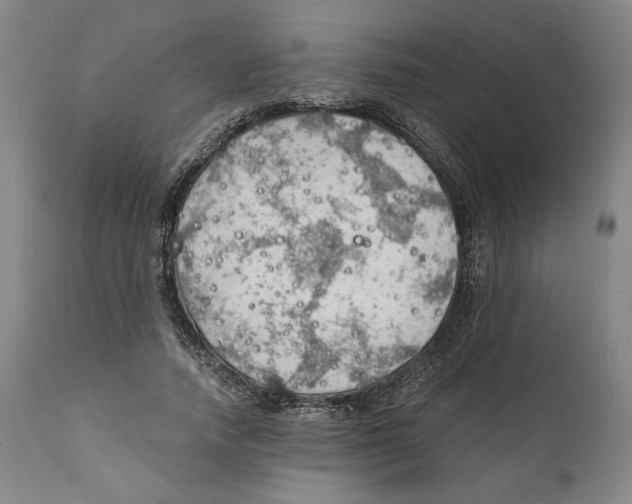 X0000111030738200907231620