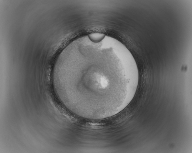 X0000111030739200907231620