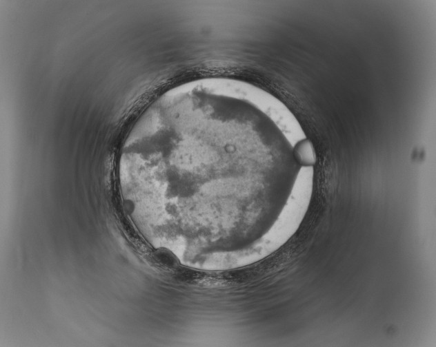 X0000111030742200907231620