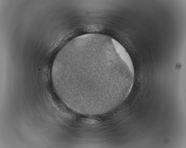 X0000111030743200907231620