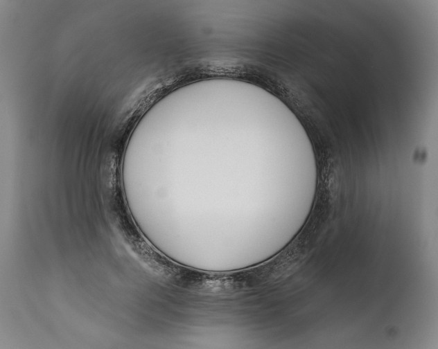 X0000111030744200907231620