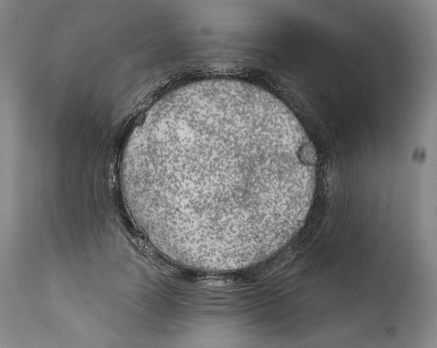 X0000111030746200907231620