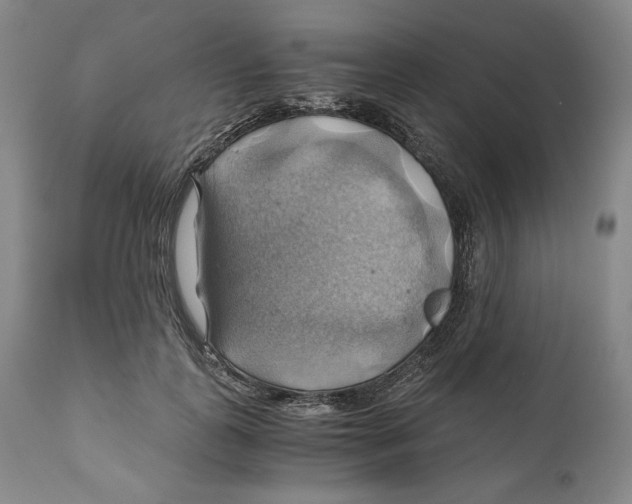 X0000111030747200907231620