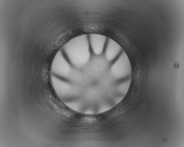 X0000111030749200907231620