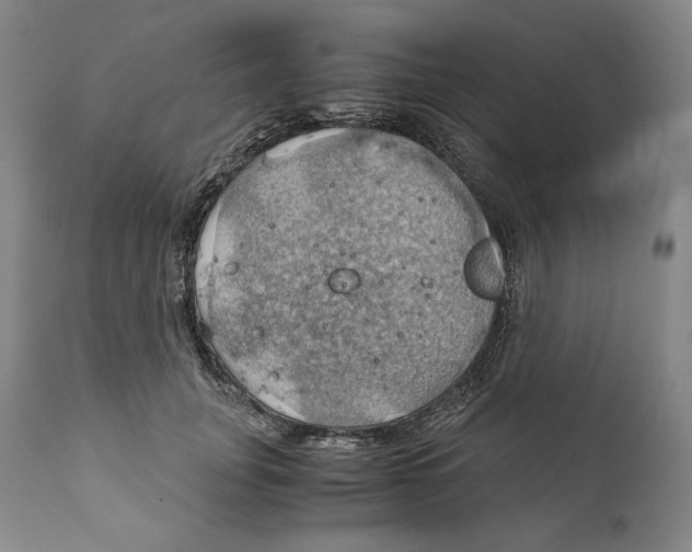 X0000111030751200907231620