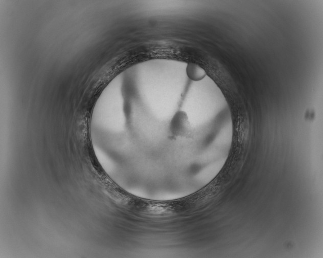 X0000111030753200907231620