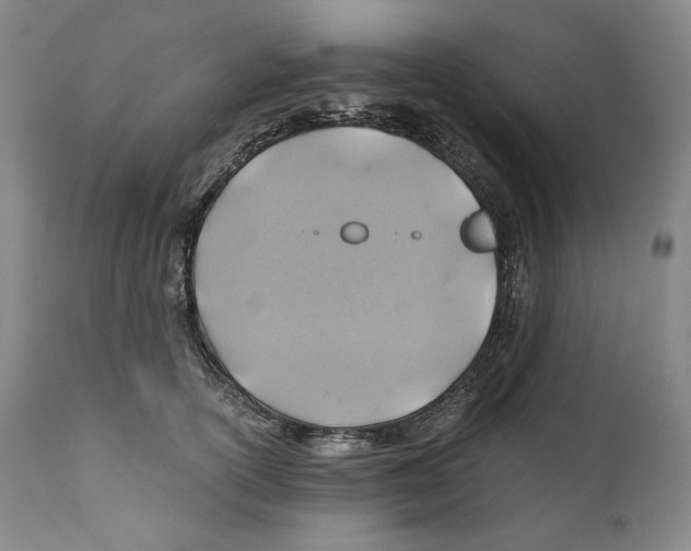 X0000111030754200907231620