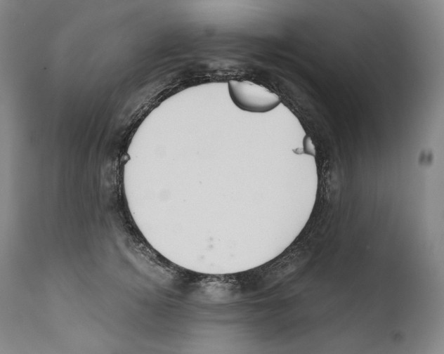 X0000111030756200907231620