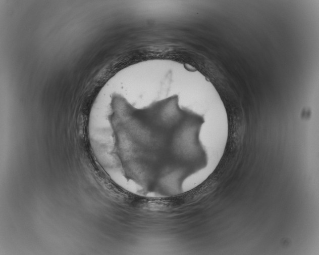 X0000111030758200907231620