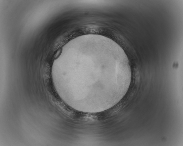 X0000111030760200907231620