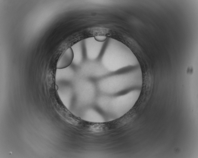 X0000111030761200907231620