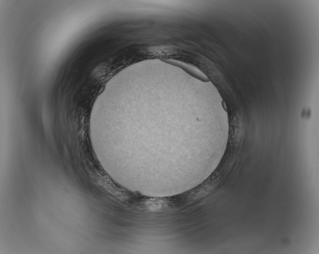 X0000111030762200907231620