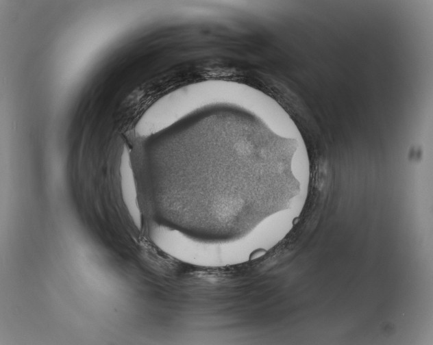 X0000111030763200907231620