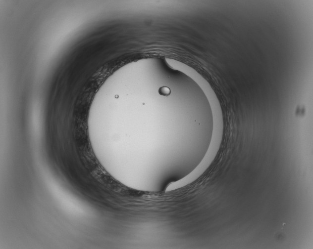 X0000111030764200907231620