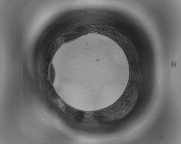 X0000111030766200907231620