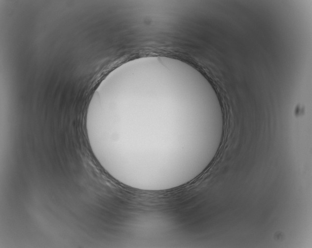 X0000111030768200907231620