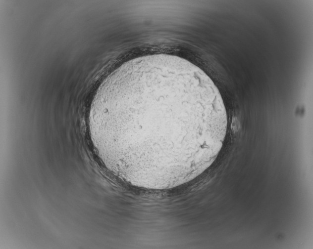 X0000111030771200907231620