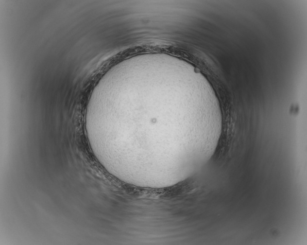 X0000111030773200907231620