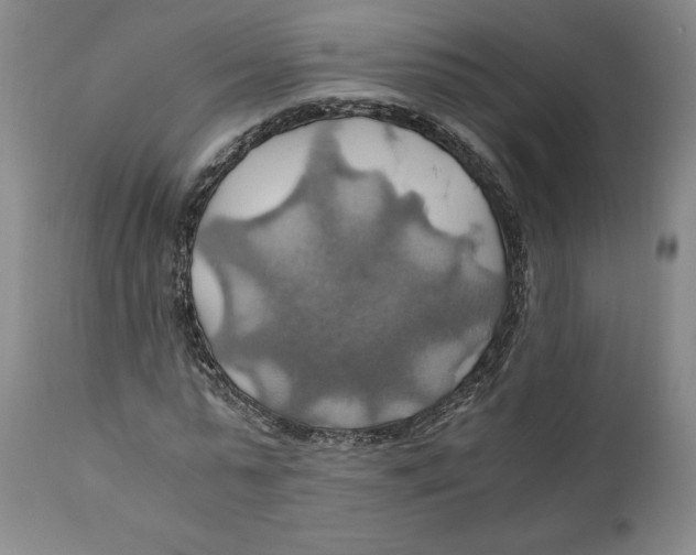 X0000111030775200907231620