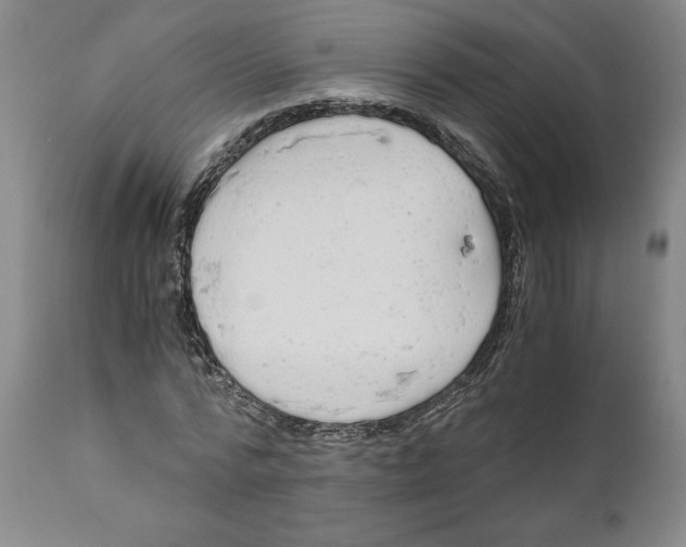 X0000111030776200907231620