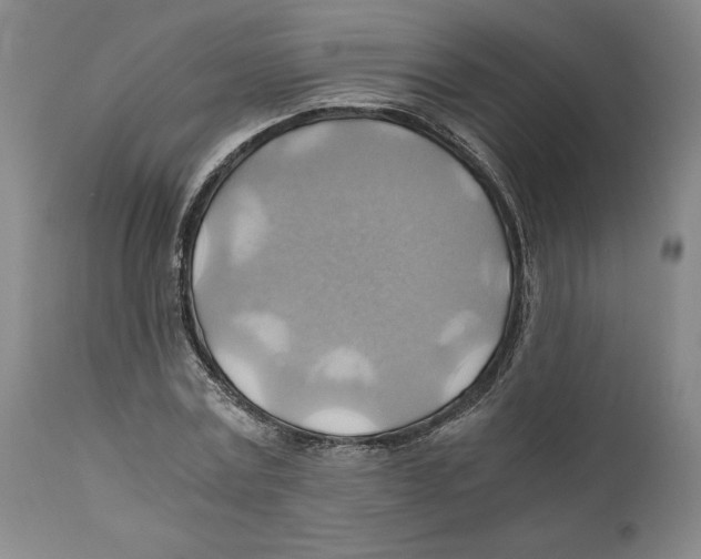 X0000111030779200907231620