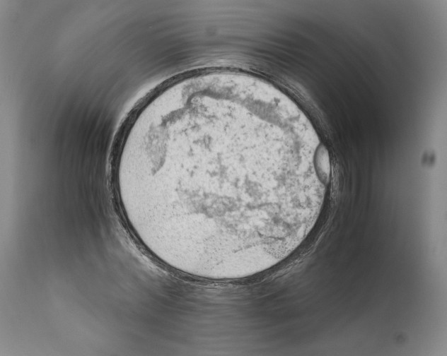 X0000111030780200907231620