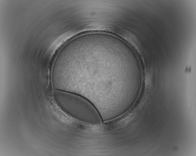 X0000111030781200907231620