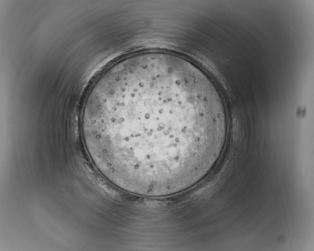 X0000111030782200907231620