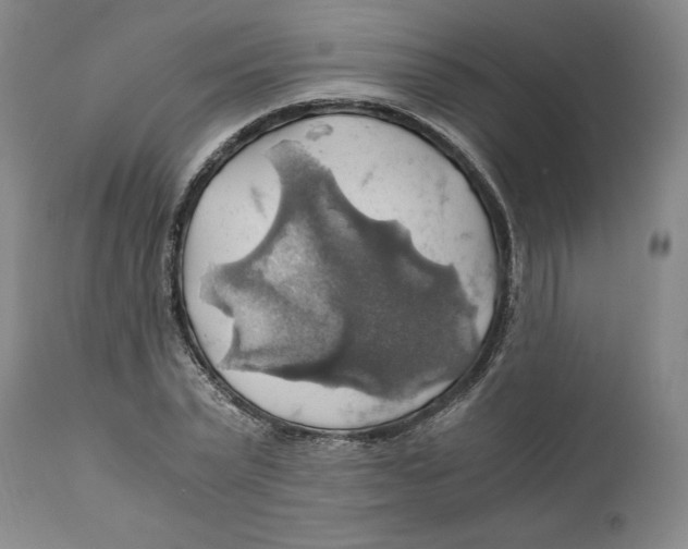 X0000111030783200907231620