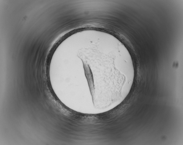 X0000111030784200907231620