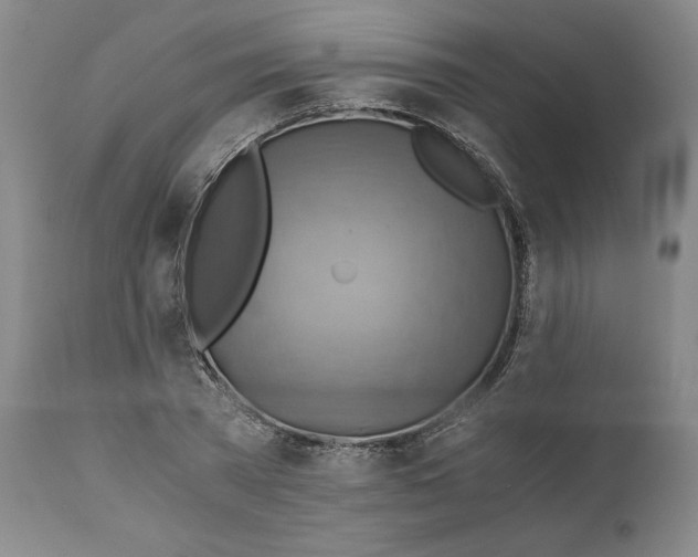 X0000111030785200907231620