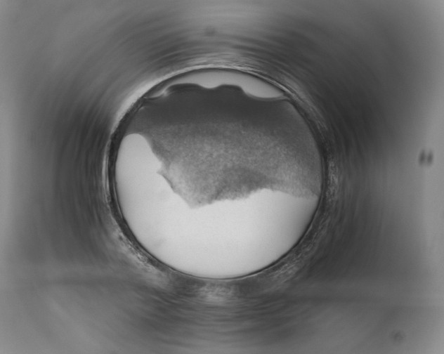 X0000111030788200907231620