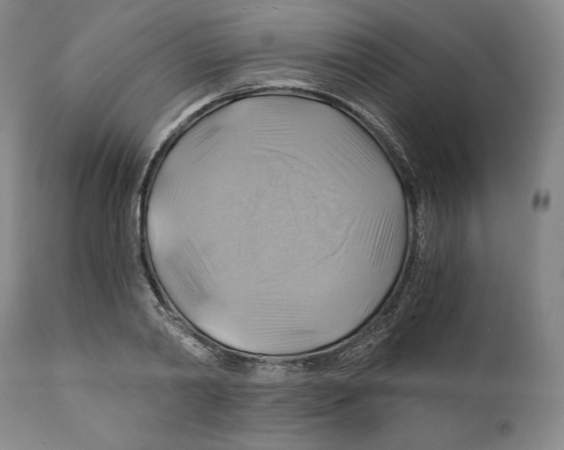 X0000111030790200907231620