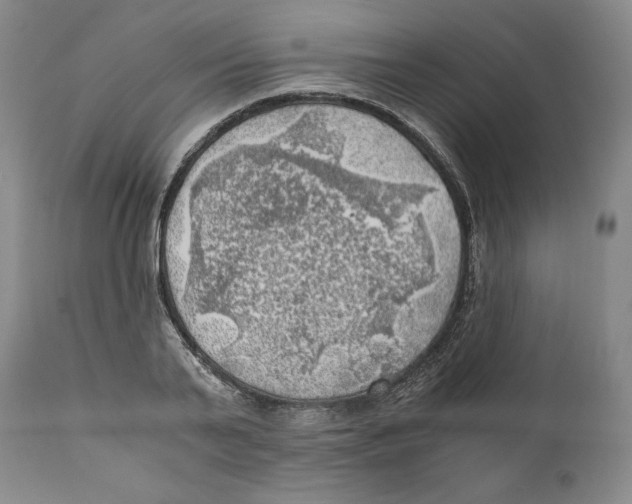 X0000111030791200907231619