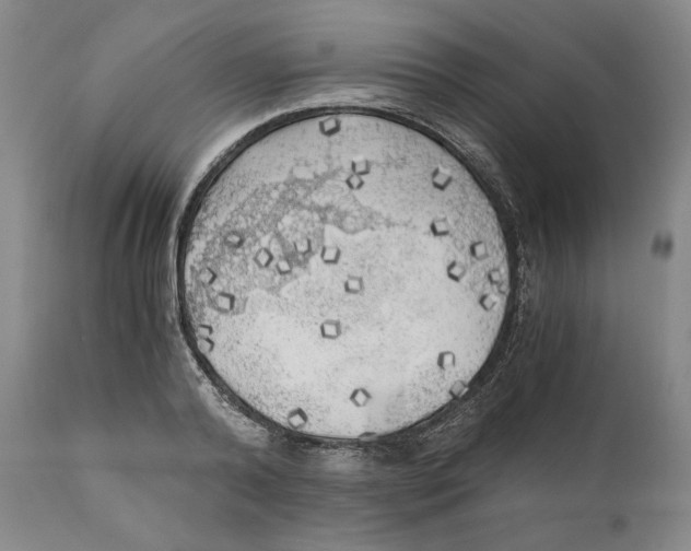 X0000111030792200907231619